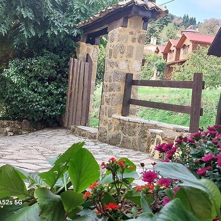 Εν Αρχή - En Arhi Villa Ano Trikala Exterior photo