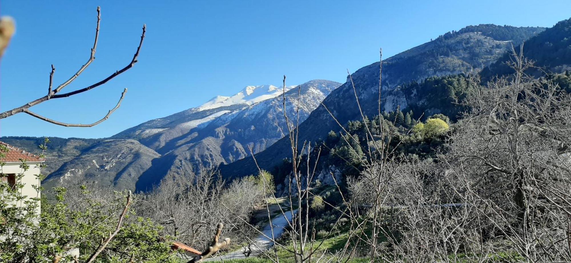 Εν Αρχή - En Arhi Villa Ano Trikala Exterior photo