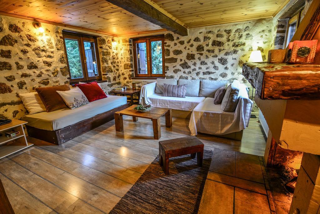 Εν Αρχή - En Arhi Villa Ano Trikala Exterior photo